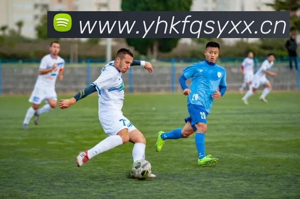 数据防护可视化